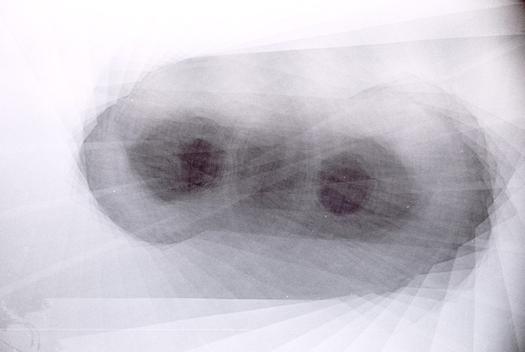 многократная экспозиция с поворотом камеры