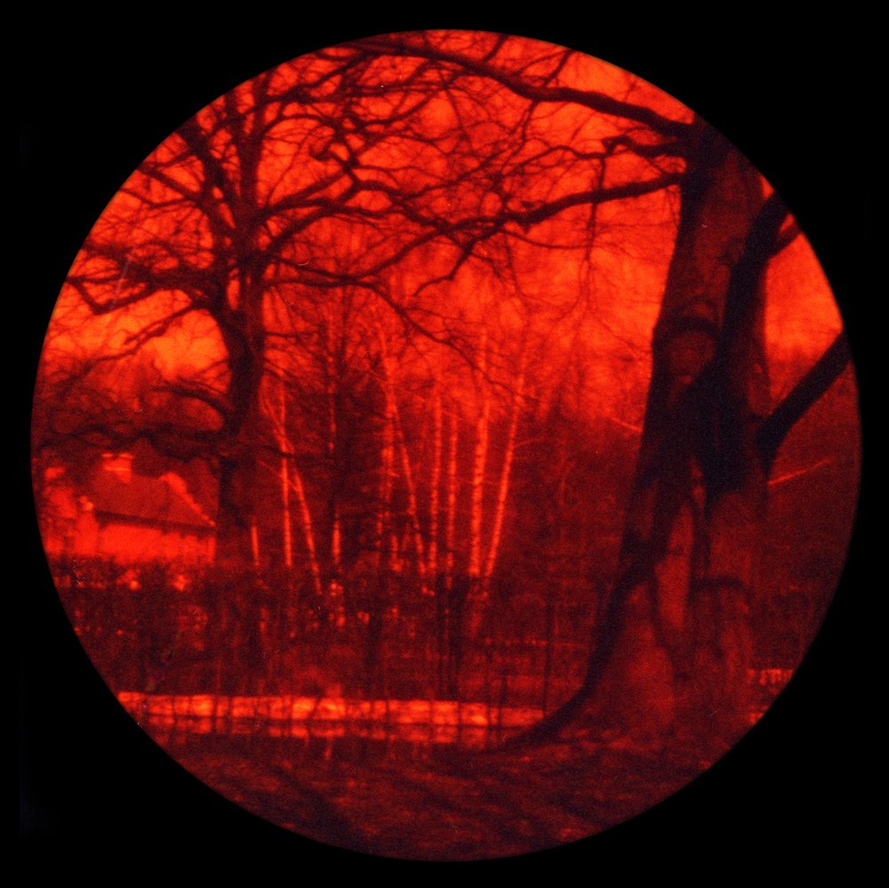 пинхол, Любитель, Redscale - ломографическая пленка