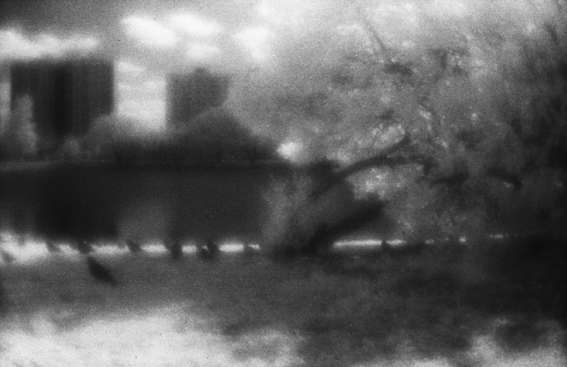 монокль+самодельный инфракрасный фильтр из куска проявленной слайдовой пленки