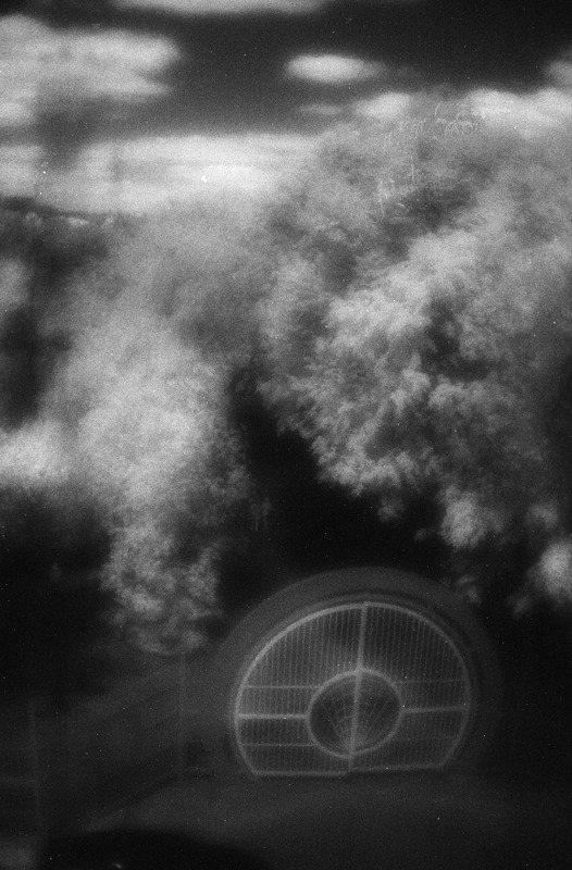 монокль+самодельный фильтр из куска проявленного слайда