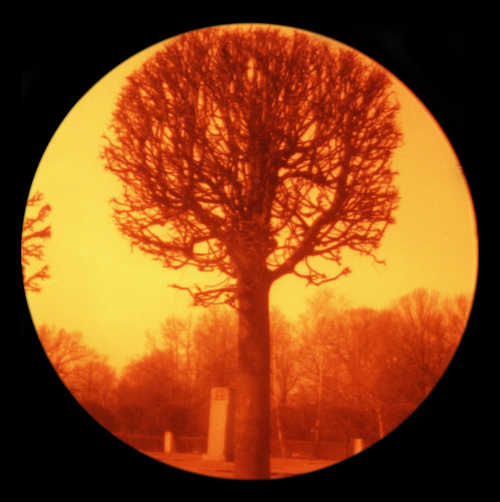 пинхол, Любитель, Redscale - ломографическая пленка