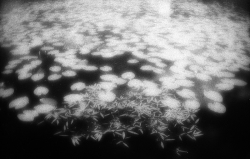 монокль+инфракрасный фильтр из куска проявленного слайда